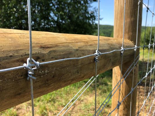 Pagar Simpul Tetap Rusa 1.2m Pagar Lapangan Wire Mesh Ternak Bersama Engsel